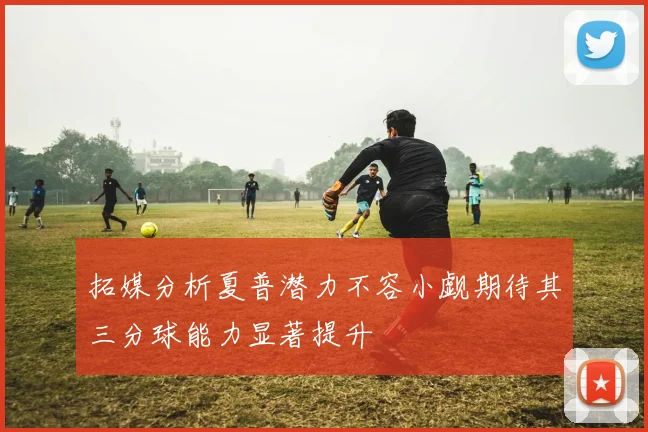 拓媒分析夏普潜力不容小觑期待其三分球能力显著提升