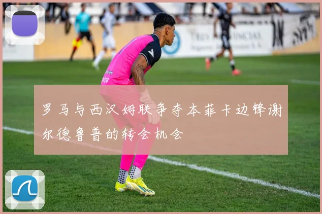 罗马与西汉姆联争夺本菲卡边锋谢尔德鲁普的转会机会